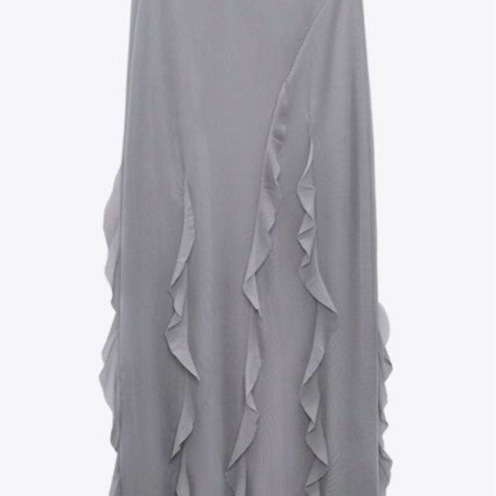 ZARA Ruffled Tulle Skirt - Picture 5 of 14